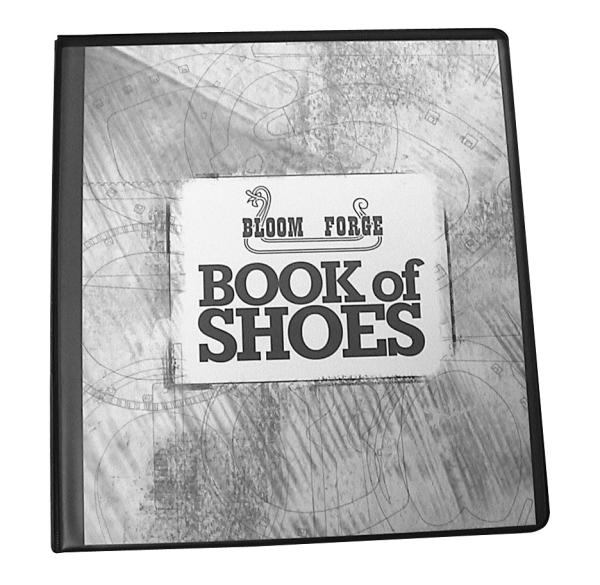 bloom forge book of shoes