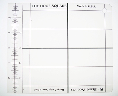 W-Brand Hoof Square